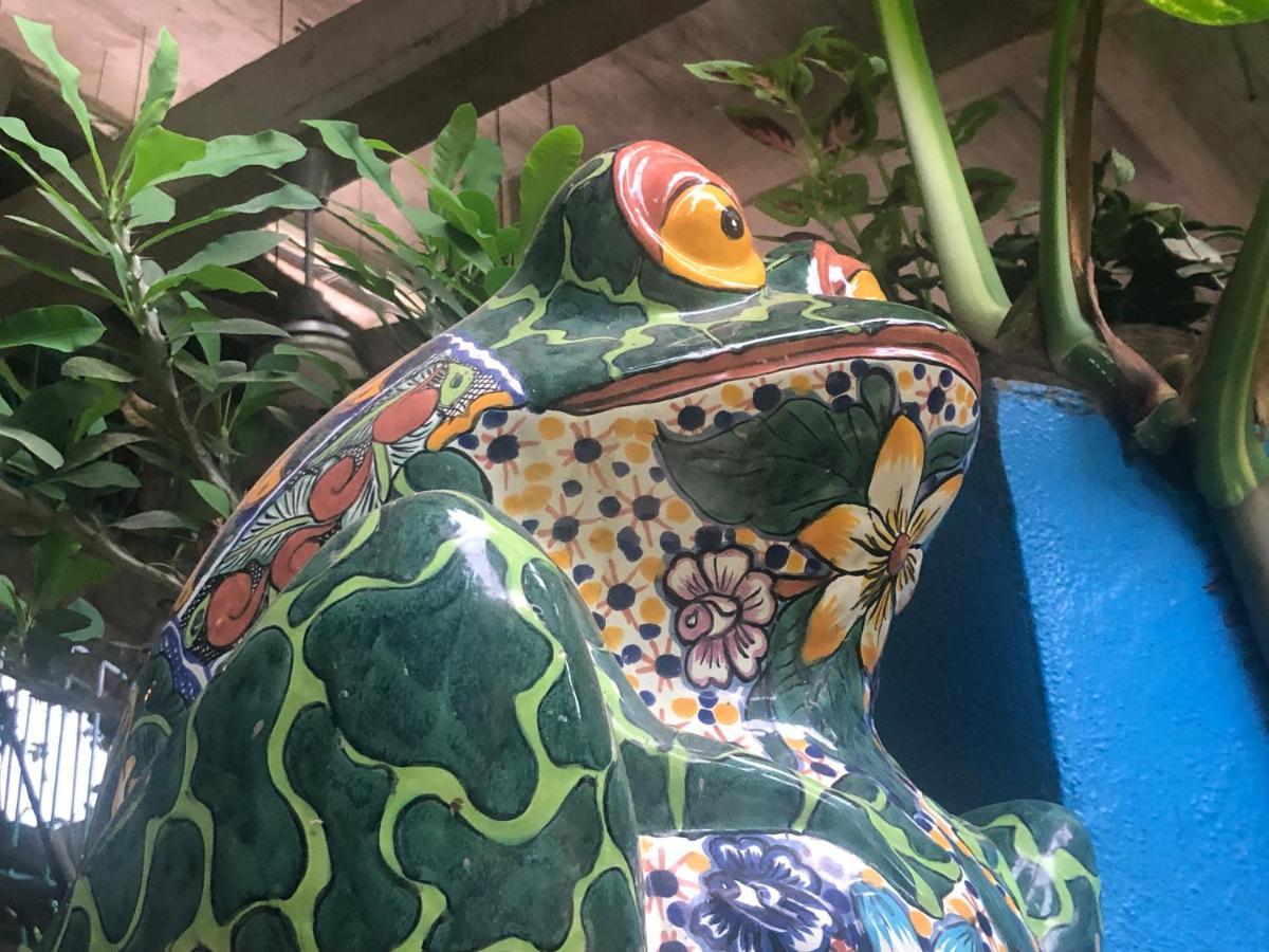 Casa Cereza Apartments Puerto Vallarta Zewnętrze zdjęcie