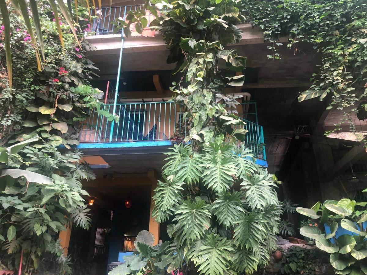Casa Cereza Apartments Puerto Vallarta Zewnętrze zdjęcie