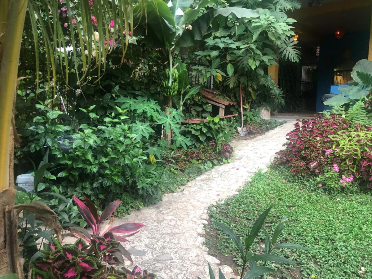 Casa Cereza Apartments Puerto Vallarta Zewnętrze zdjęcie